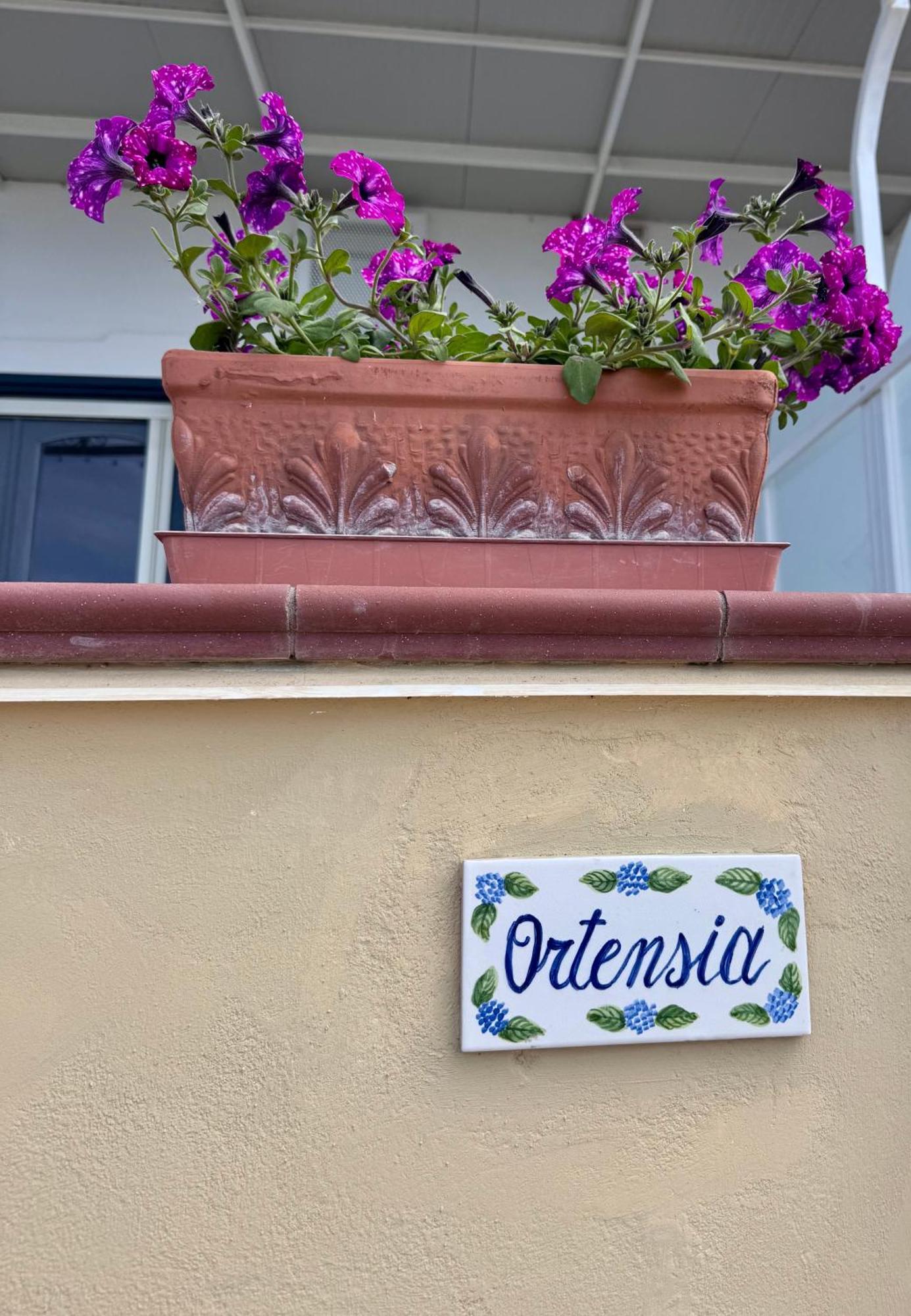 Il Profumo Dei Fiori Lejlighed Praiano Eksteriør billede